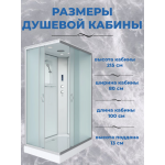 Душевая кабина Niagara NG-43085-14QP размер 100*80*215 см, низкий поддон 13 см