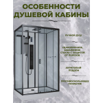 Душевая кабина Niagara Premium NG-6912-01GQR BLACK размер 120*80*210 см, низкий поддон 16 см