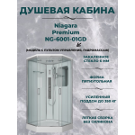 Душевая кабина Niagara Premium NG-6001-01GD размер 90*90*220 см, низкий поддон 16 см