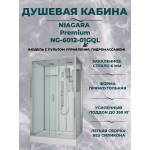 Душевая кабина Niagara Premium NG-6012-01GQL размер 120*80*210, низкий поддон 16 см