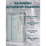 Душевая кабина Niagara Premium NG-6012-01GQL размер 120*80*210, низкий поддон 16 см