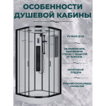 Душевая кабина Niagara Premium NG-6902-01G BLACK размер 100*100*210, низкий поддон 16 см