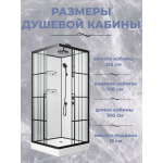 Душевая кабина Niagara Standart ST100/15QR/KL/BKT (1000х1000х2250)