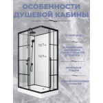 Душевая кабина Niagara Standart ST100/80/15QL/KL/BKT (1000х800х2250)